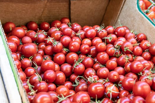 freshness vegetable food ripe closeup organic tomato ingredient fresh agriculture raw juicy red