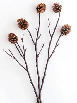 Winter branches and pine cones on white background for seasonal decoration.