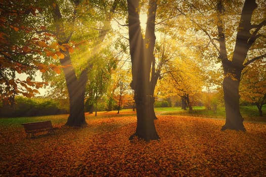 Beautiful colourful autumn landscape in the Czech Republic. Colorful trees in nature in autumn season. Seasonal concept for outdoor activities.