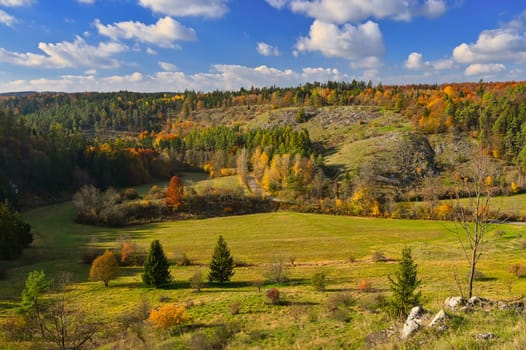 Autumn background with colorful trees. Nature with landscape. Seasonal concept for fall.