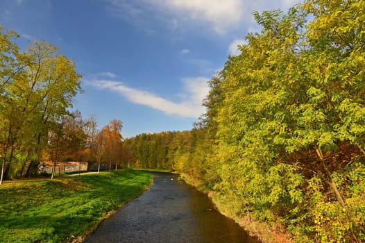 Autumn background with colorful trees. Nature with landscape. Seasonal concept for fall.