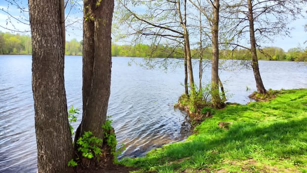 A serene lake bordered by trees reflects a clear sky on a bright spring day