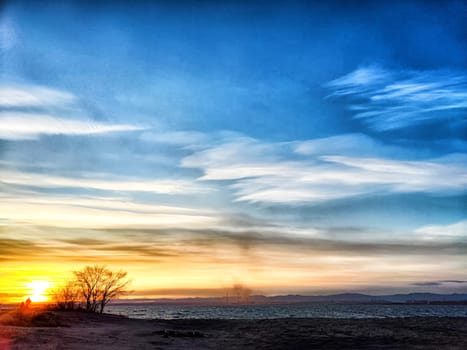 Sunset paints the sky with warm colors while a tree silhouette stands near the water's edge.