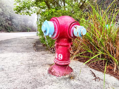 A vibrant fire hydrant with blue details stands amidst tall grass and plants along a concrete surface, showcasing urban infrastructure.