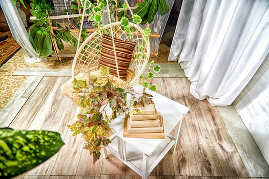 Modern cozy beautiful room with a braided rope macrame chair, green plants, small table and curtains. Interior and background. Location for photo shooting