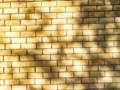 A textured yellow brick wall displays intricate patterns and soft shadows created by surrounding plants illuminated by golden hour sunlight.