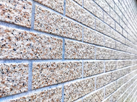 A close-up of a textured brick wall showing speckled patterns in natural light.