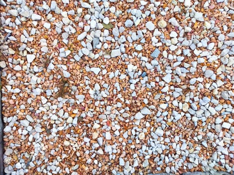 A vibrant assortment of small white and orange stones covers the ground, adding color and texture to a garden area under sunlight.