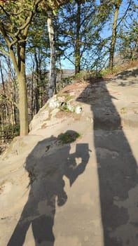 shadow silhouette of a man tourist in the forest, summer travel landscape, nature trees. High quality photo
