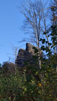 autumn landscape, forest trees blue sky, green leaves, nature, weather, walk travel, rock. Trees rocky formation . High quality photo