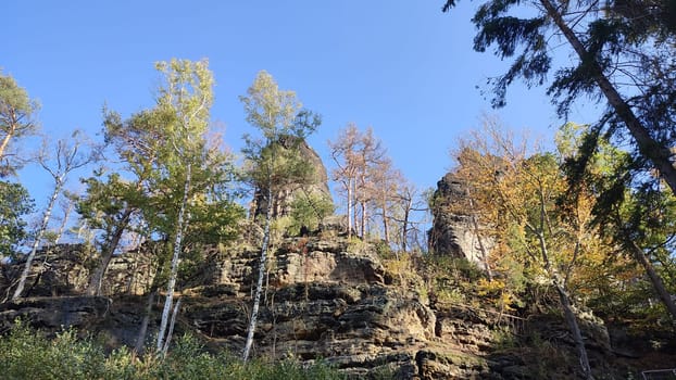 Trees rocky forest formation, blue sky nature travel landscape . High quality photo