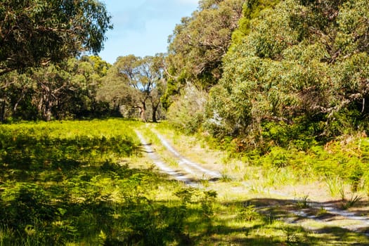 Long Point Circuit Walk as part of the Two Bays Walking Track near Cape Schanck Lighthouse on the Mornington Peninsula in Victoria, Australia