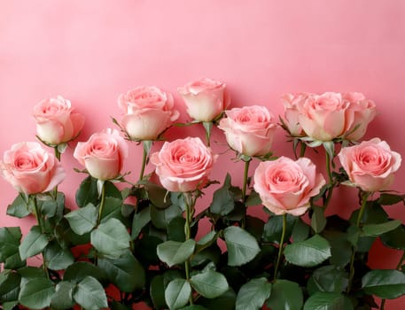 A row of pink roses with green leaves on a pink background..