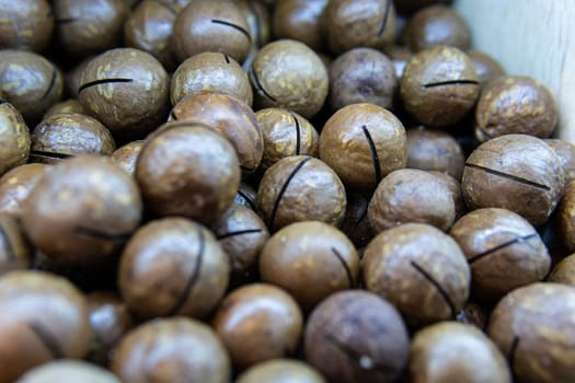 organic seed ingredient freshness people no nutshell macadamia cooking food - snack nut