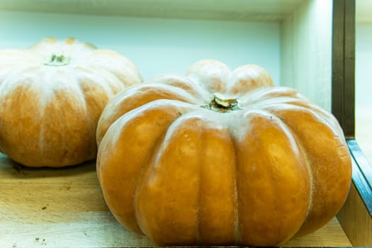 orange farm decoration food agriculture holiday october market harvest halloween