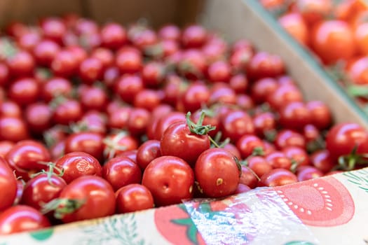 fresh vegetable juicy organic closeup ingredient ripe agriculture freshness food raw red tomato