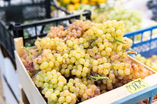 market organic green grape fruit fresh harvest nature food nutrition healthy juicy agriculture