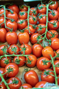 produce market vegetable red agriculture organic tomato fresh juicy raw food vegetarian nature