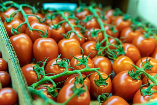 raw fresh market juicy nature vegetarian organic produce agriculture tomato red vegetable food