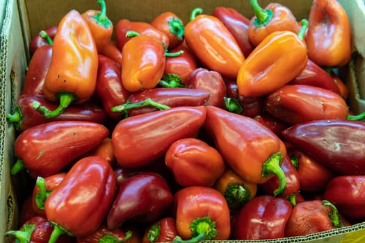 fresh market nutrition food organic pepper fruit grocery ripe produce healthy natural