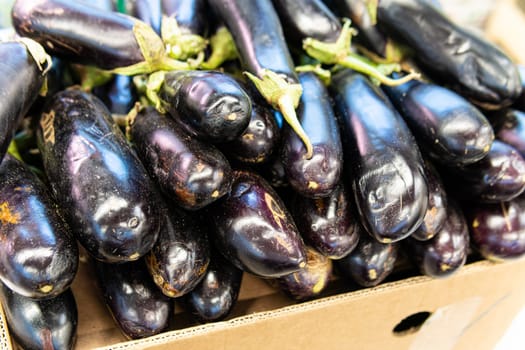 food eggplant organic fresh healthy raw agriculture vegetable background market vegetarian ingredient