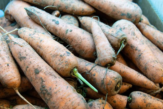 healthy fresh background food orange vegetable nutrition carrot vegetarian raw harvest agriculture