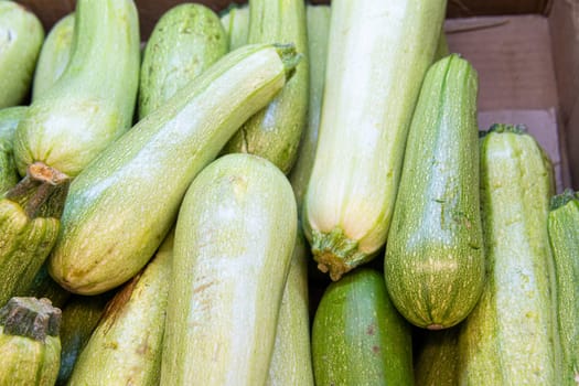 raw object nutrition courgette vegetable fresh food vegetarian healthy green zucchini ripe
