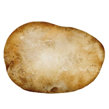 Potato watercolor. Ripe vegetable hand drawn on white isolated background. Organic farm product. Ideal for potato product label, tags and posters. High quality illustration