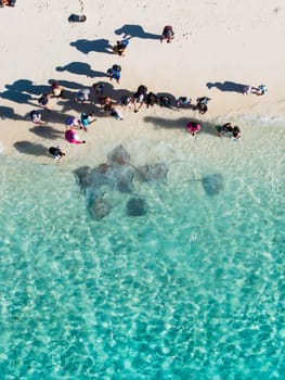 View of Stingrays in Fulidhoo island, Maldives, Asia