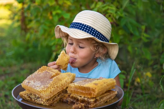 A child eats honey from a comb. Selective focus. Kid.