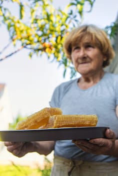 An elderly woman holds honey in her garden. Selective focus. food.