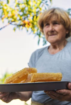 An elderly woman holds honey in her garden. Selective focus. food.