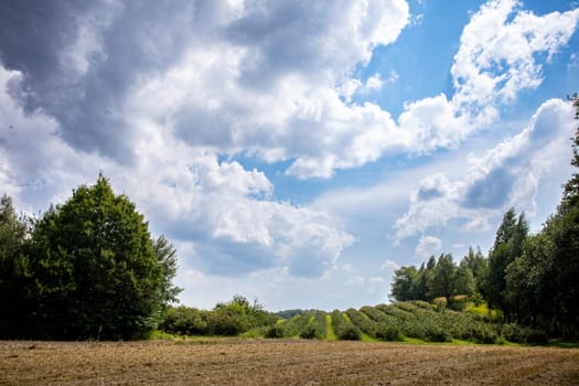 This is a peaceful scene featuring lush greenery and striking, dramatic clouds, making it ideal for nature themes