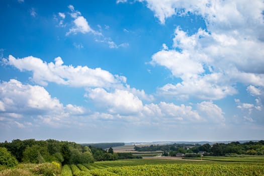 A serene and beautiful view of rolling green fields beneath a vibrant blue sky filled with fluffy cottonlike clouds