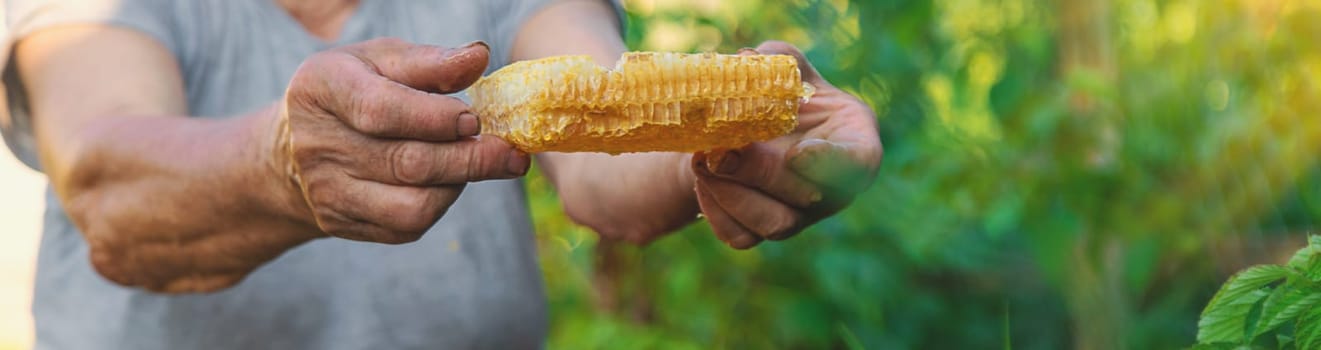 An elderly woman holds honey in her garden. Selective focus. food.