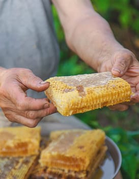 An elderly woman holds honey in her garden. Selective focus. food.