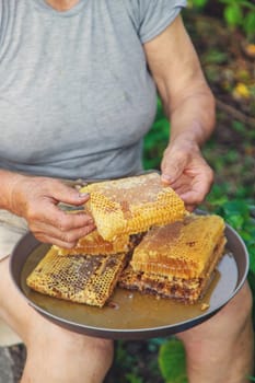 An elderly woman holds honey in her garden. Selective focus. food.