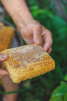 An elderly woman holds honey in her garden. Selective focus. food.