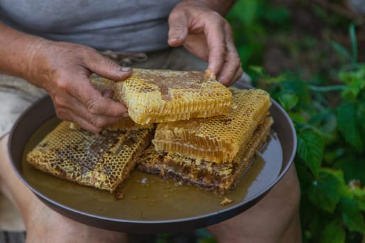An elderly woman holds honey in her garden. Selective focus. food.