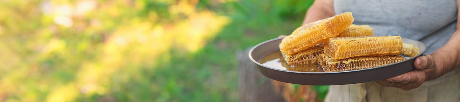 An elderly woman holds honey in her garden. Selective focus. food.
