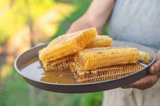 An elderly woman holds honey in her garden. Selective focus. food.