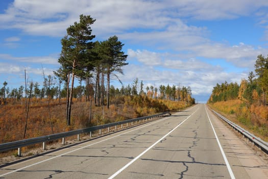 Asphalt highway road along the forest with skyline scenery at sunrise