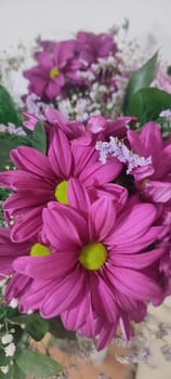 beautiful pink flowers,,bouquet, plants flora, nature green leaves. High quality photo