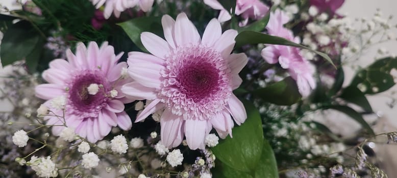beautiful pink flowers,,bouquet, plants flora, nature green leaves. High quality photo