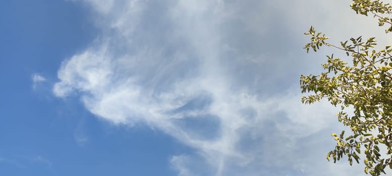 blue sky white clouds stripes, light air atmosphere nature background, weather, heart shape or angel. High quality photo