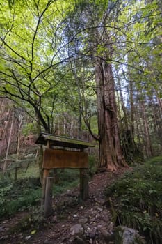 Hiking path landscape on the famous Magome-Tsumago Trail as part of the Nakasendo Way between Magome and Tsumago in Gifu Prefecture, Japan