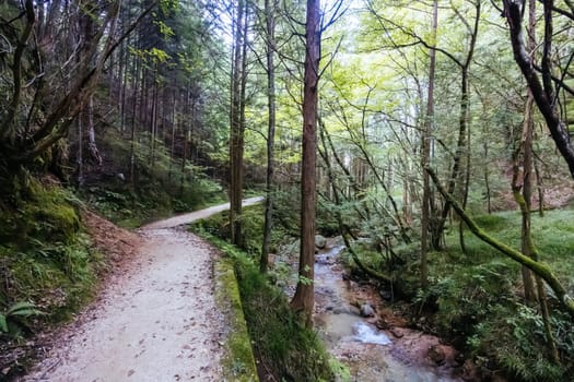 Hiking path landscape on the famous Magome-Tsumago Trail as part of the Nakasendo Way between Magome and Tsumago in Gifu Prefecture, Japan