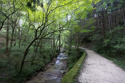 Hiking path landscape on the famous Magome-Tsumago Trail as part of the Nakasendo Way between Magome and Tsumago in Gifu Prefecture, Japan