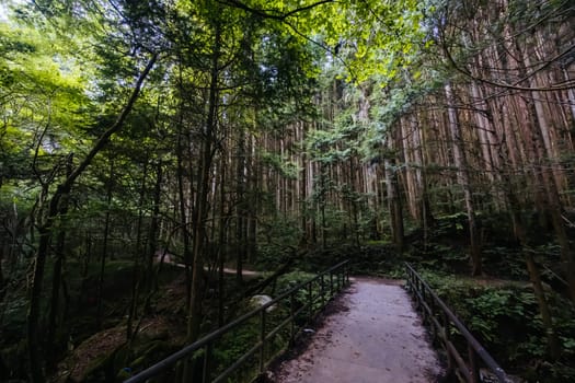 Hiking path landscape on the famous Magome-Tsumago Trail as part of the Nakasendo Way between Magome and Tsumago in Gifu Prefecture, Japan