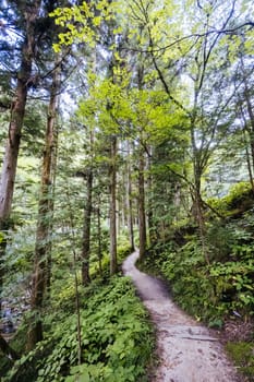Hiking path landscape on the famous Magome-Tsumago Trail as part of the Nakasendo Way between Magome and Tsumago in Gifu Prefecture, Japan